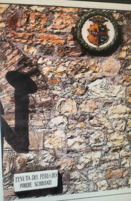 immagine annuncio 5 di 8