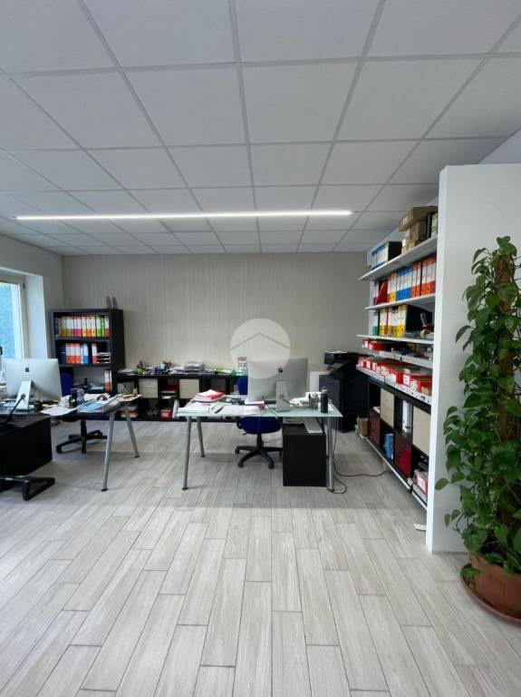 immagine annuncio 11 di 13