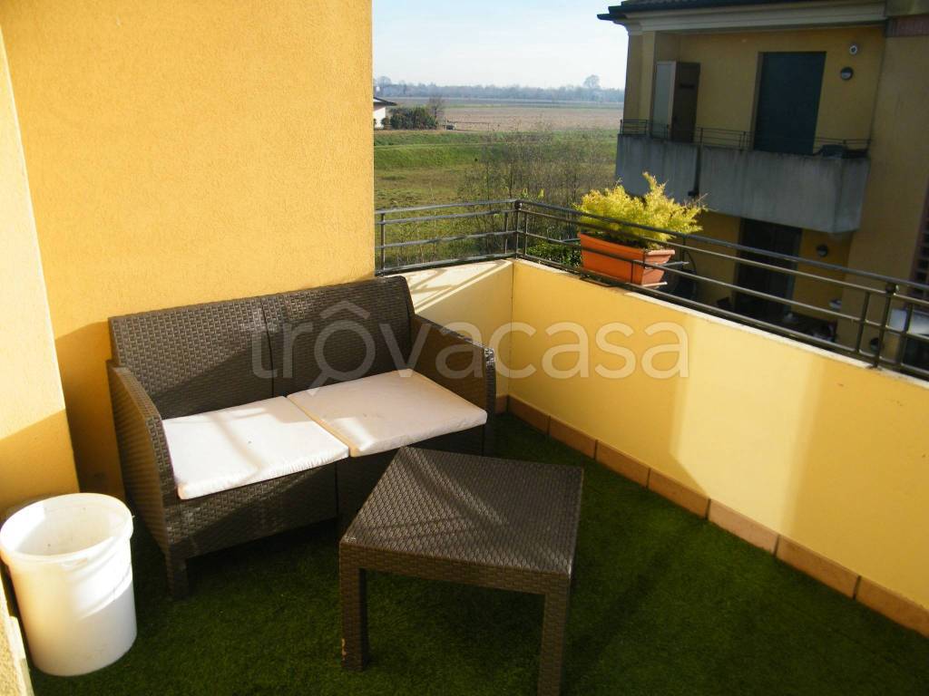 immagine annuncio 9 di 12