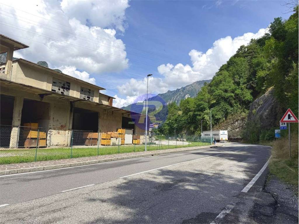 immagine annuncio 1 di 9