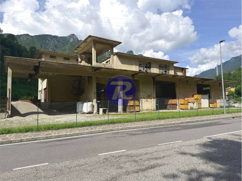 immagine annuncio 2 di 9
