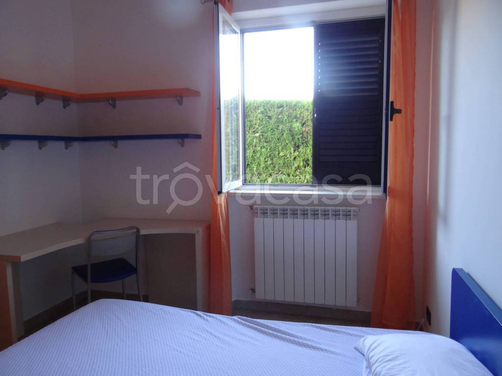 immagine annuncio 3 di 9