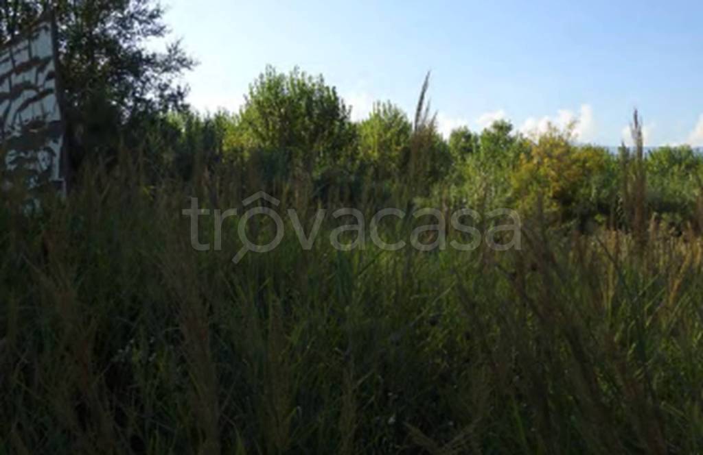 immagine annuncio 5 di 12