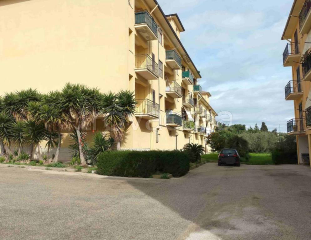immagine annuncio 5 di 14