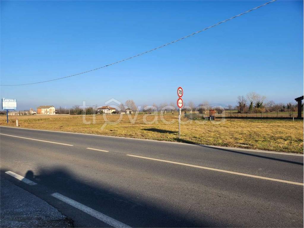 immagine annuncio 4 di 8