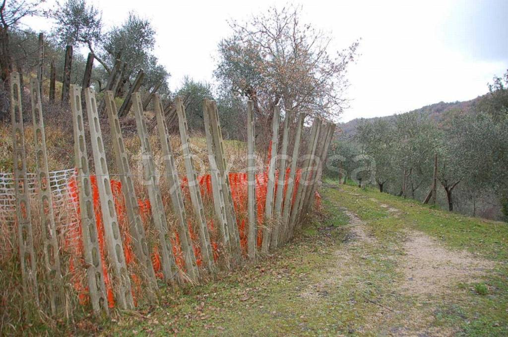 immagine annuncio 11 di 14