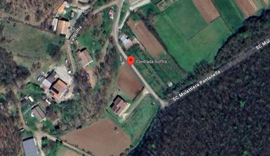 immagine annuncio 9 di 12