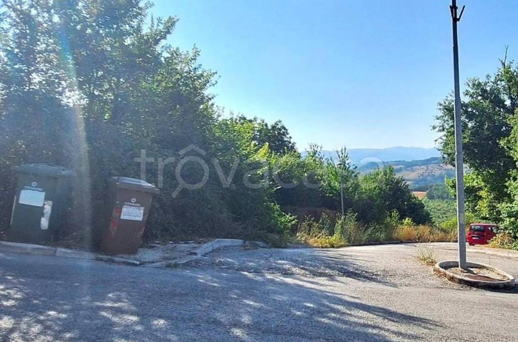 immagine annuncio 2 di 11