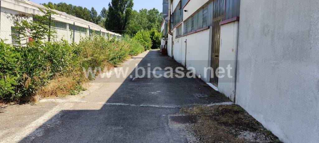 immagine annuncio 3 di 6