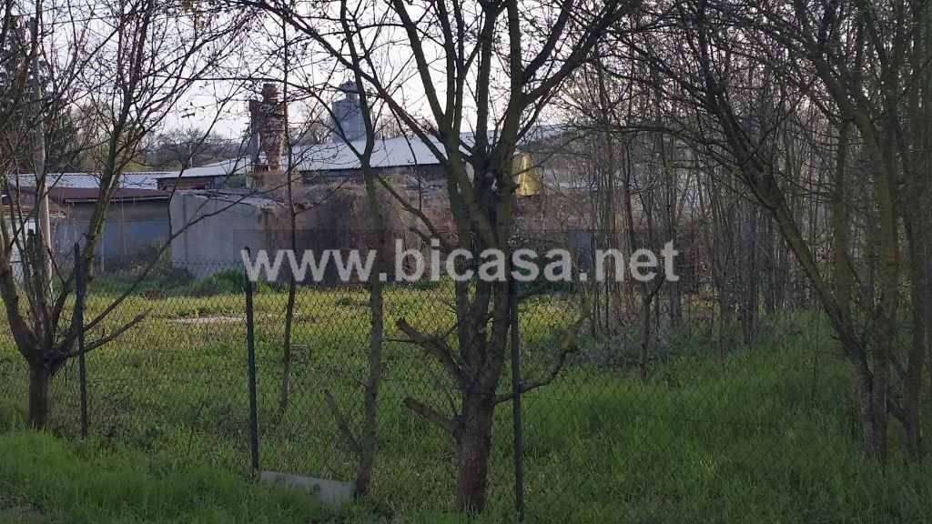 immagine annuncio 1 di 6