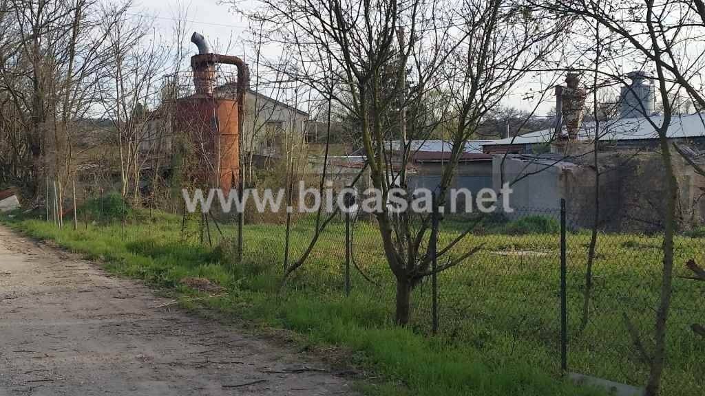 immagine annuncio 2 di 6