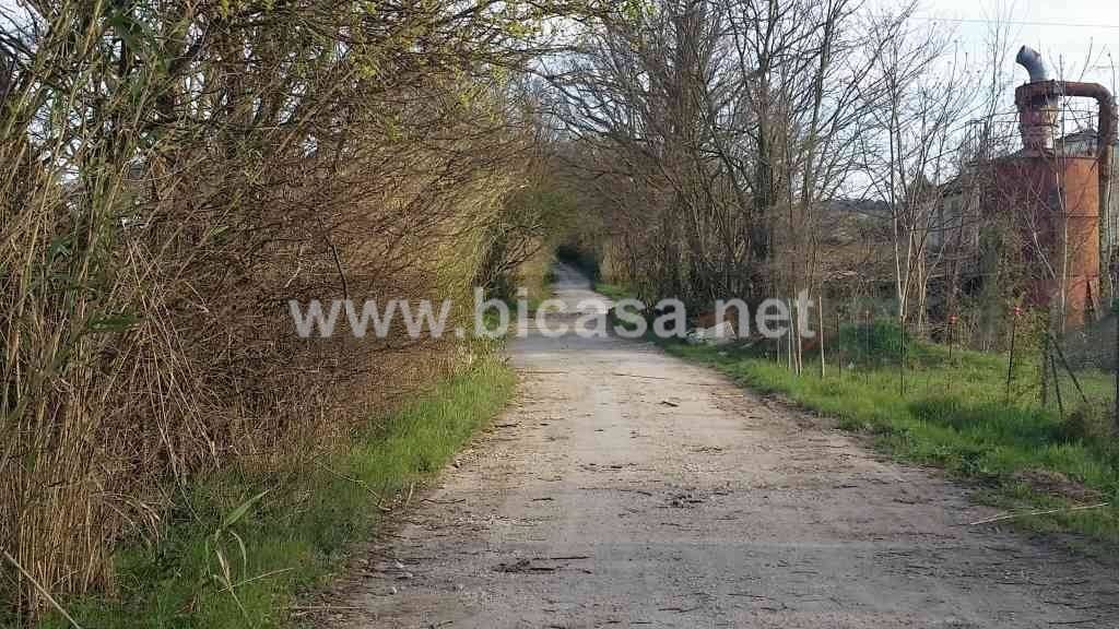 immagine annuncio 3 di 6