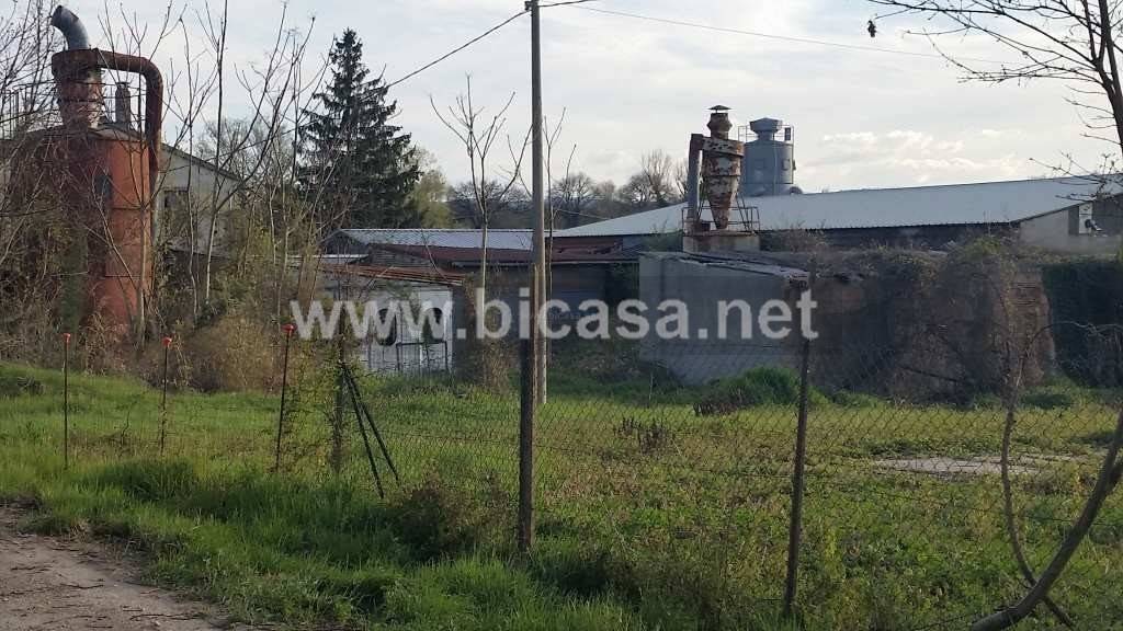 immagine annuncio 4 di 6