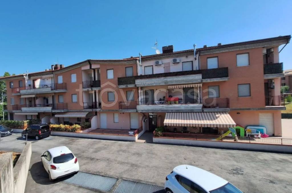 immagine annuncio 2 di 11