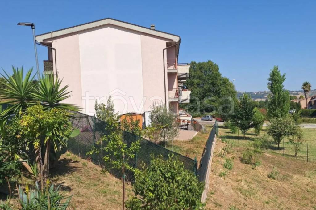 immagine annuncio 3 di 11