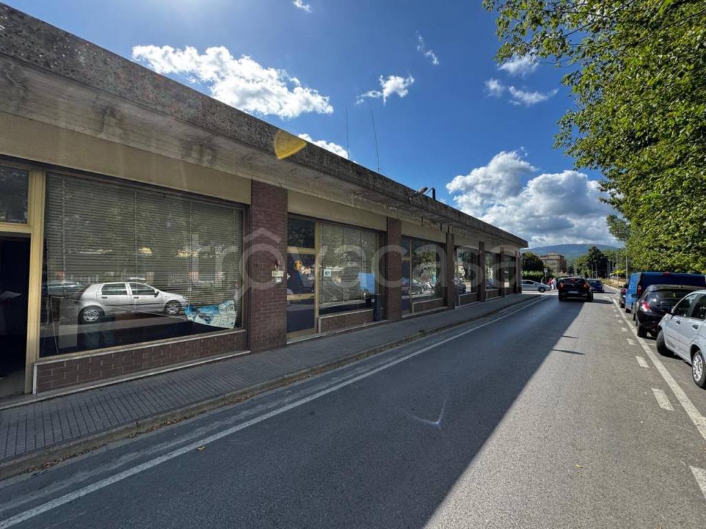 immagine annuncio 1 di 8