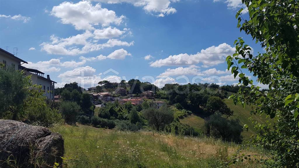 immagine annuncio 5 di 8