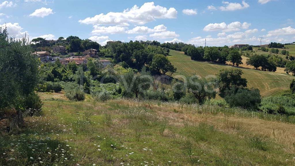 immagine annuncio 6 di 8