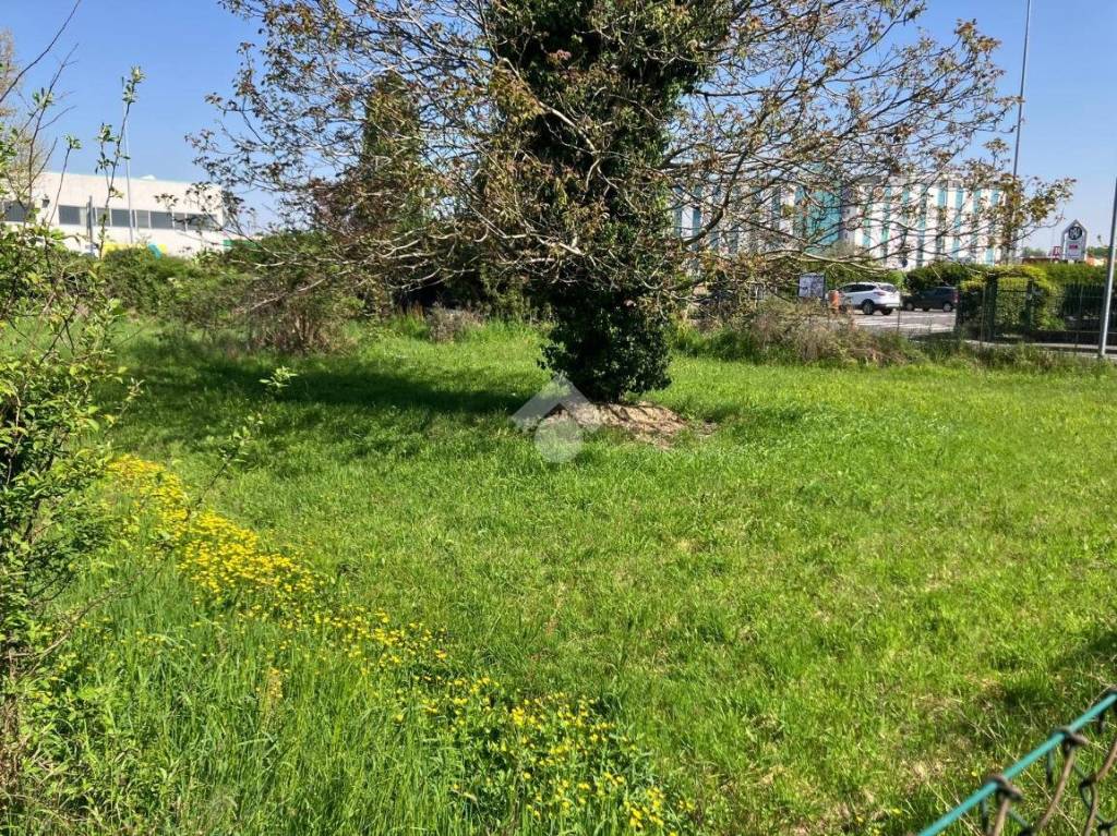 immagine annuncio 2 di 7