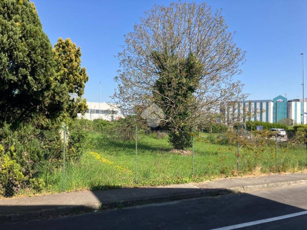 immagine annuncio 3 di 7