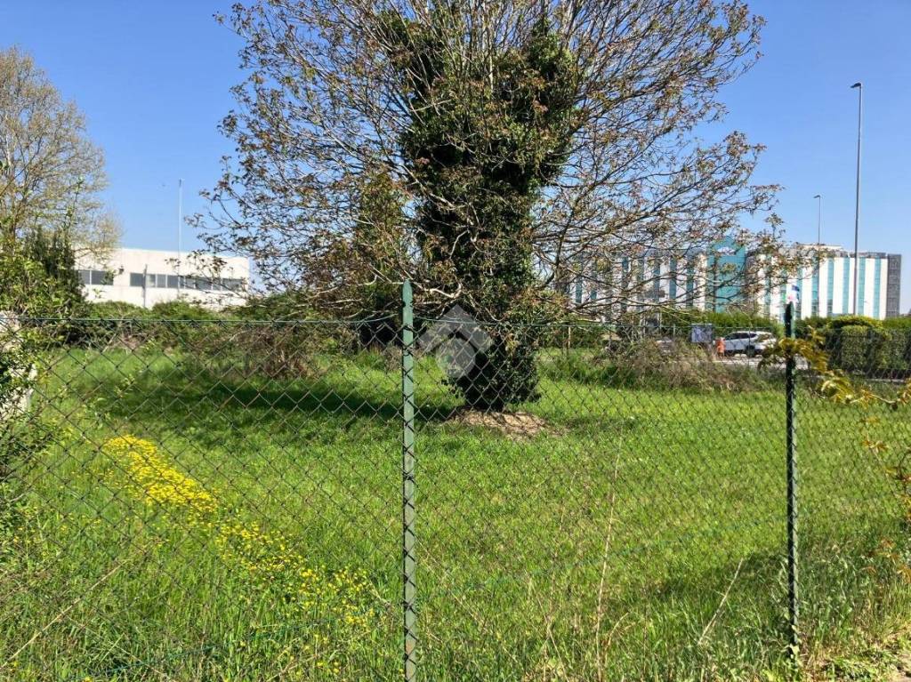 immagine annuncio 5 di 7