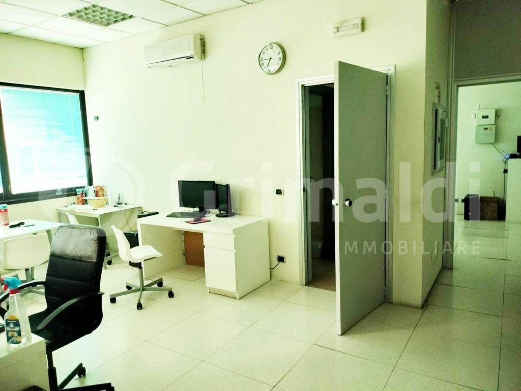 immagine annuncio 3 di 12