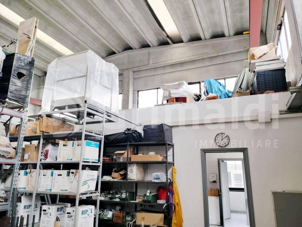 immagine annuncio 4 di 12