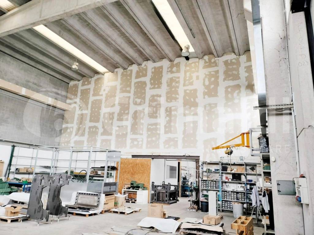 immagine annuncio 6 di 12