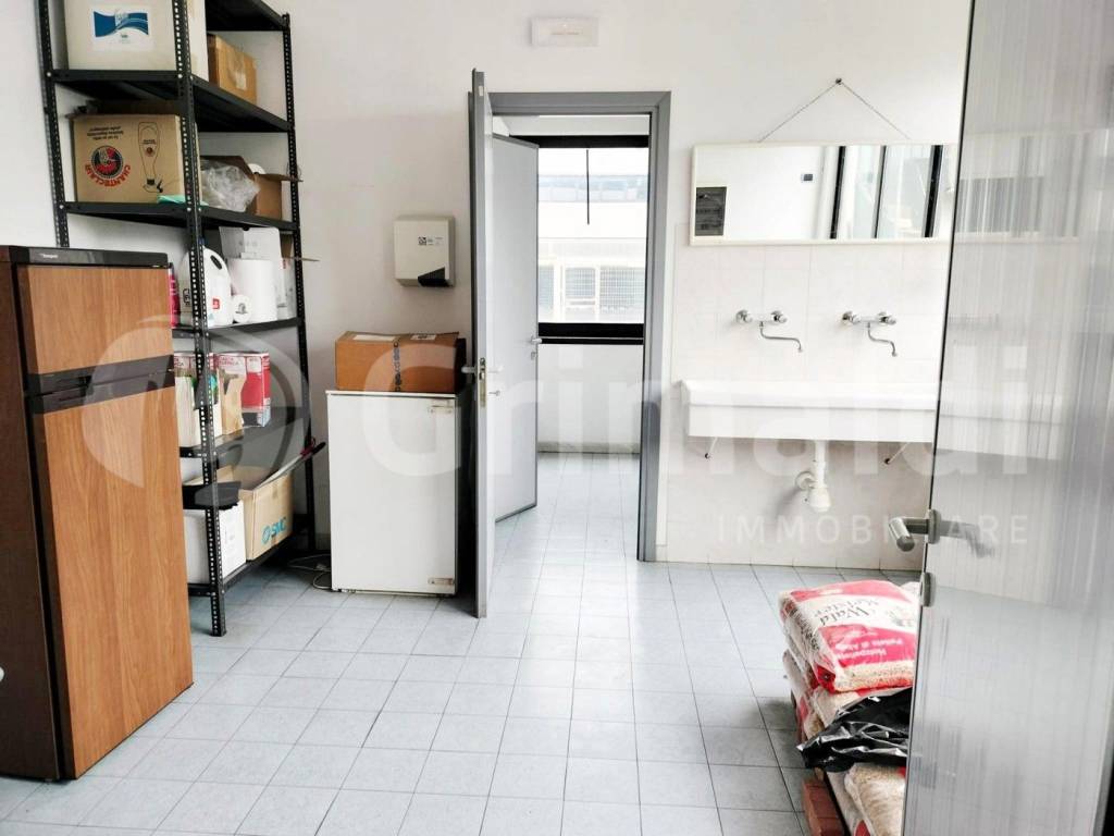 immagine annuncio 8 di 12