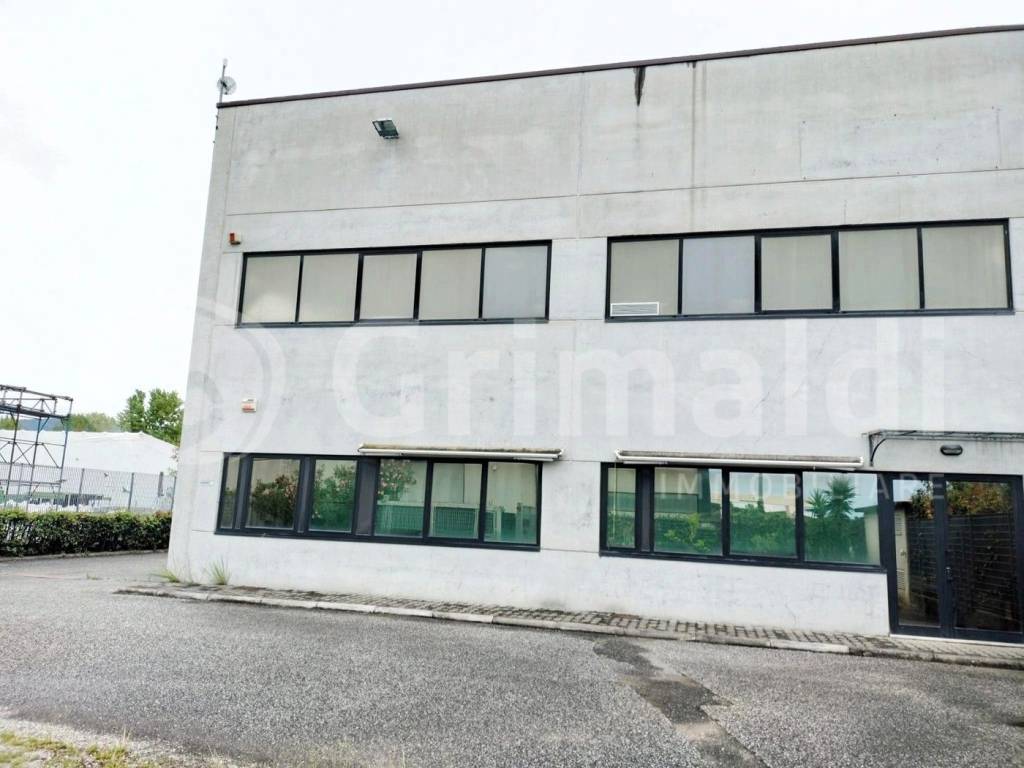 immagine annuncio 11 di 12