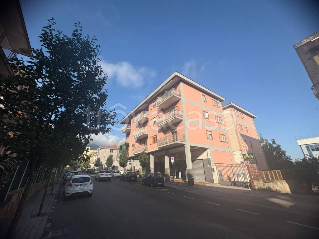 immagine annuncio 3 di 8