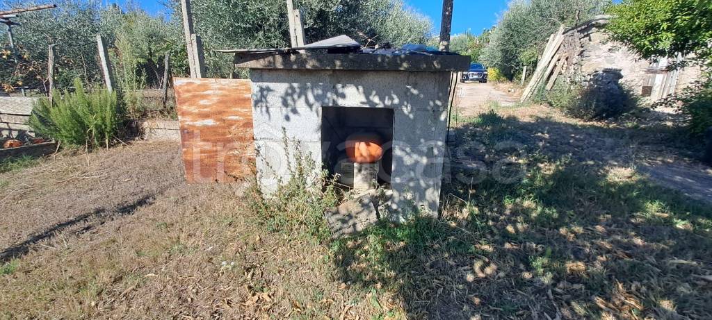immagine annuncio 10 di 14