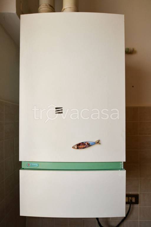 immagine annuncio 7 di 14