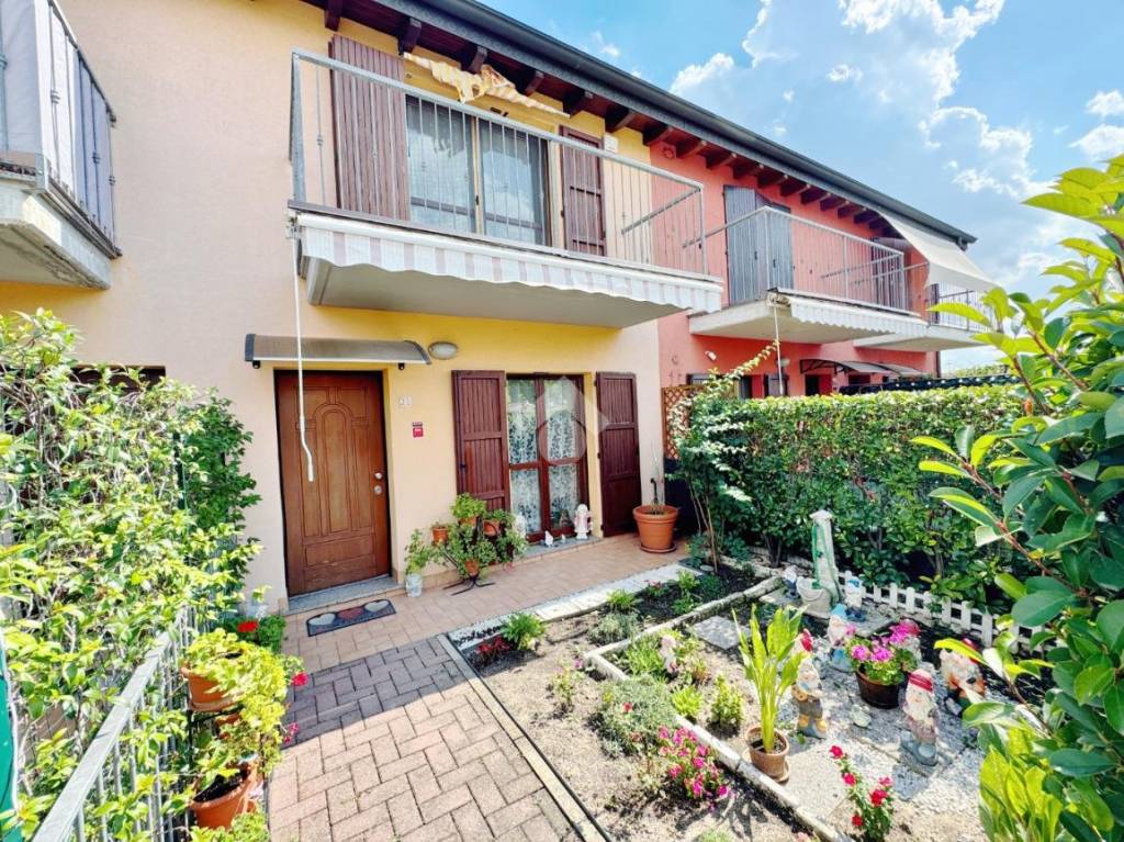 immagine annuncio 1 di 15