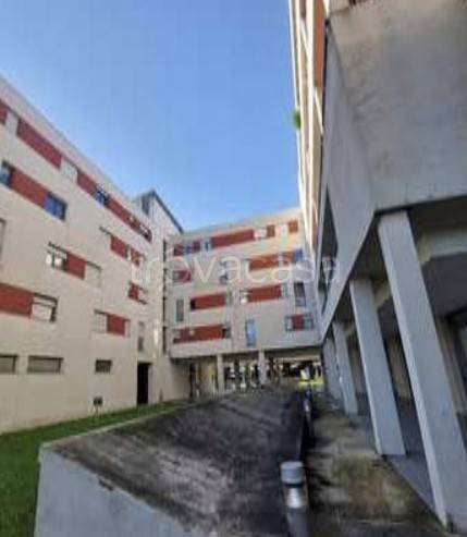 immagine annuncio 2 di 8