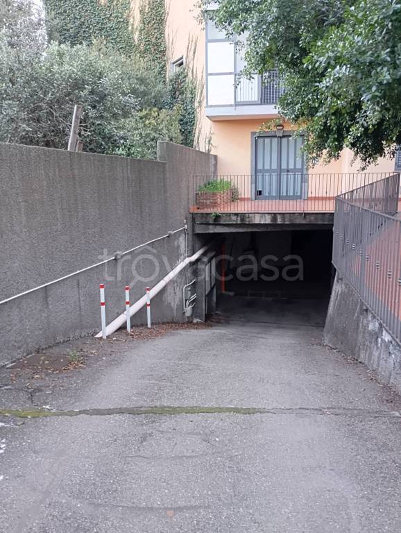 immagine annuncio 11 di 14