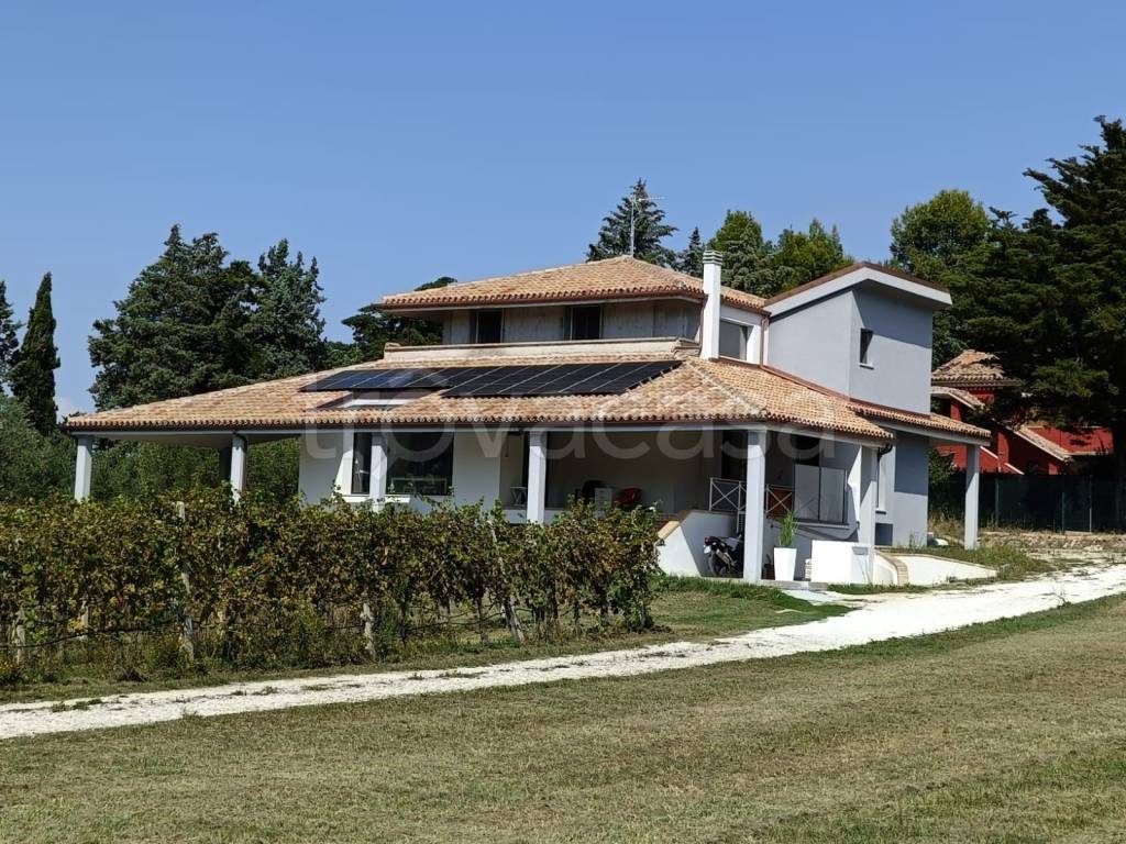 immagine annuncio 2 di 4