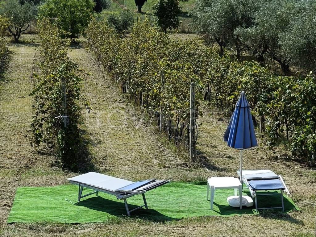 immagine annuncio 3 di 4