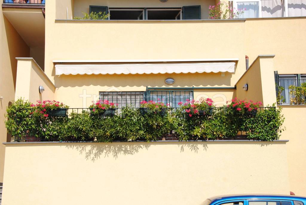 immagine annuncio 1 di 14