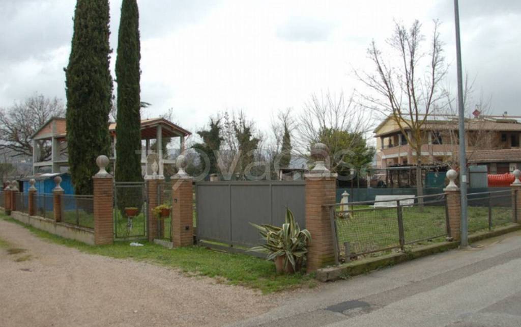 immagine annuncio 8 di 11