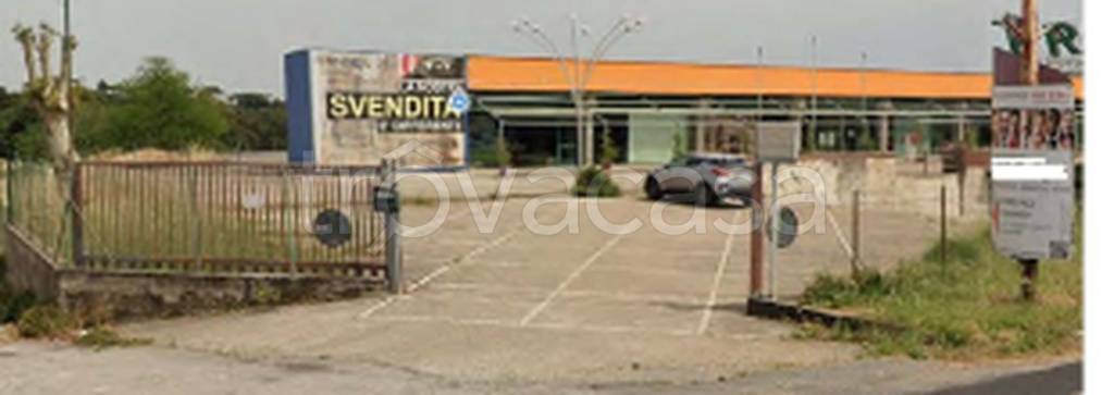 immagine annuncio 2 di 11