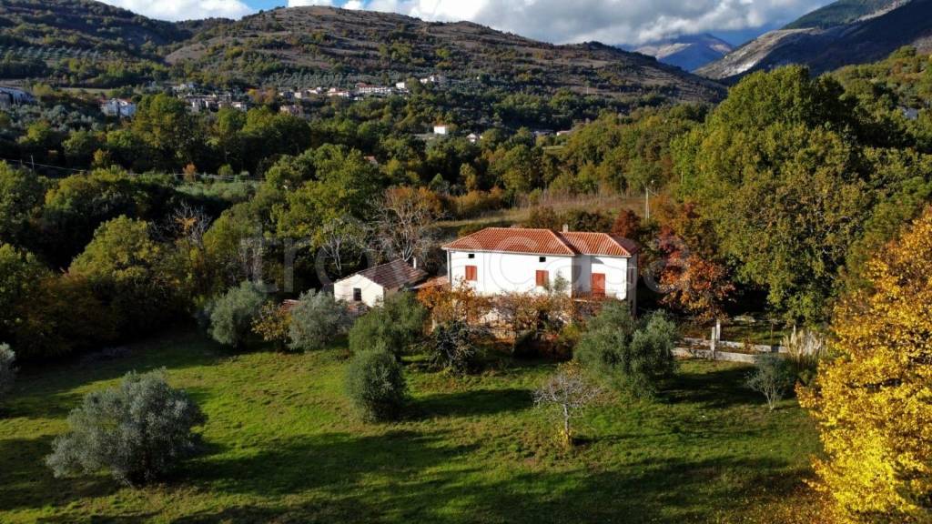immagine annuncio 3 di 9