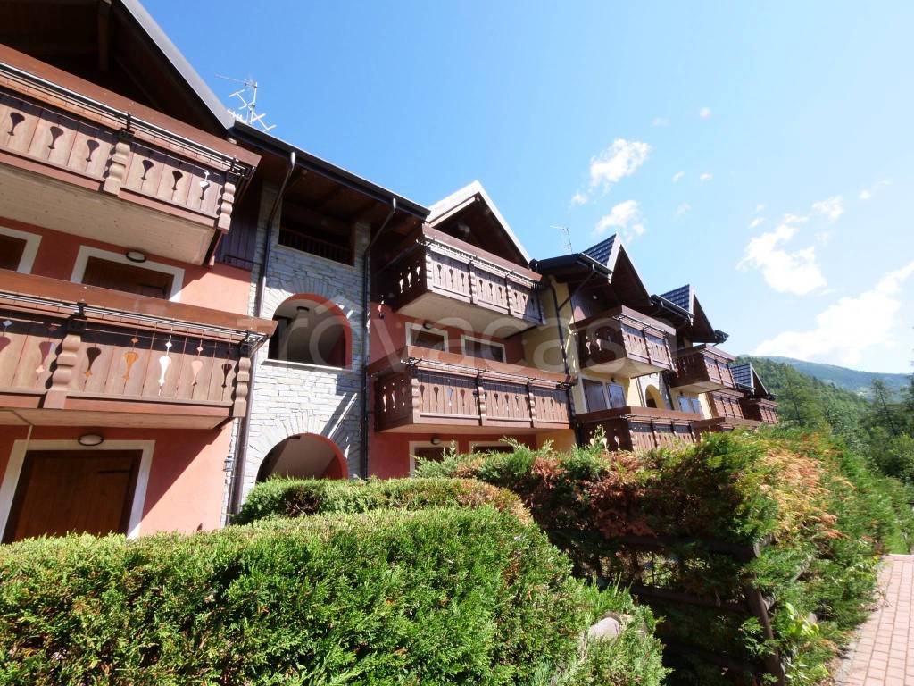 immagine annuncio 11 di 15