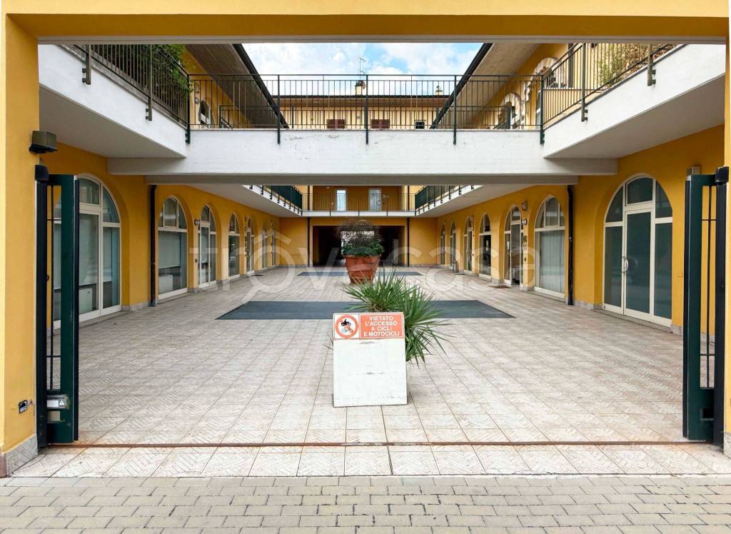 immagine annuncio 1 di 14