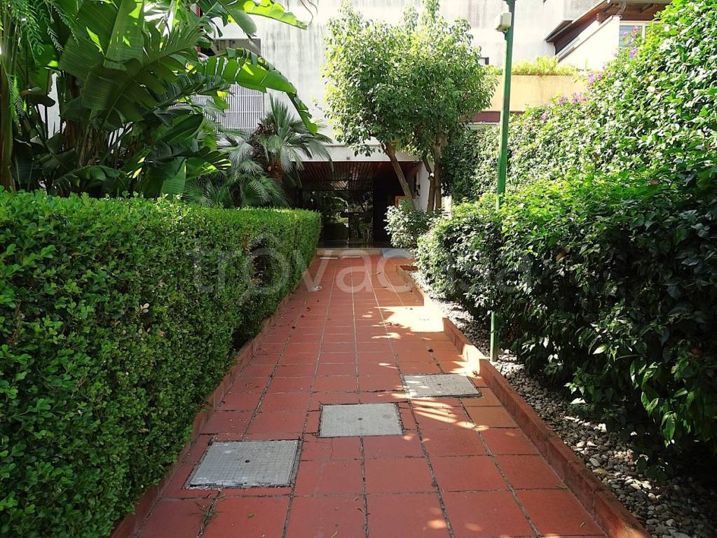 immagine annuncio 12 di 14