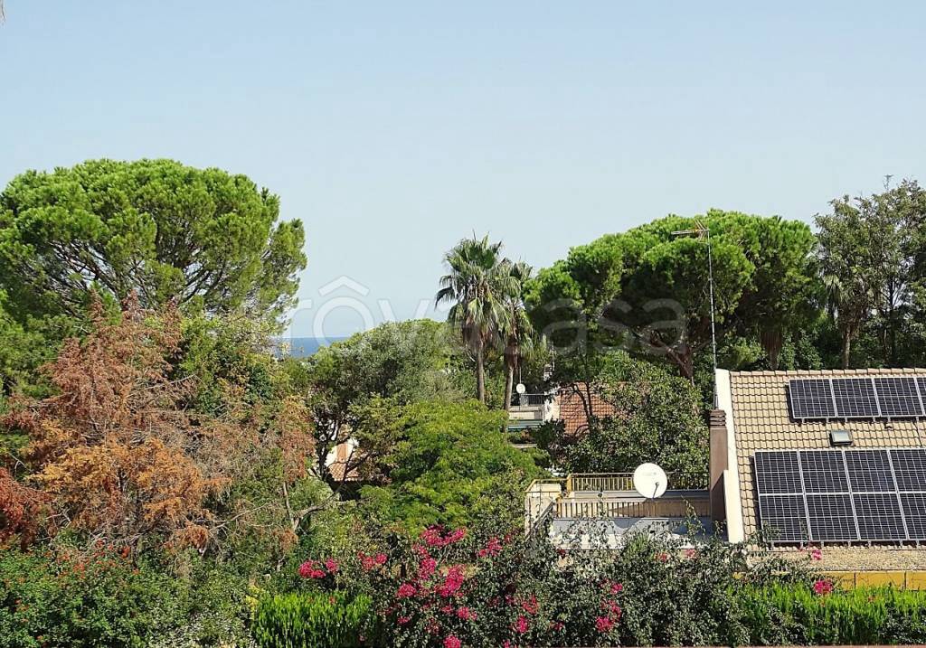 immagine annuncio 4 di 14