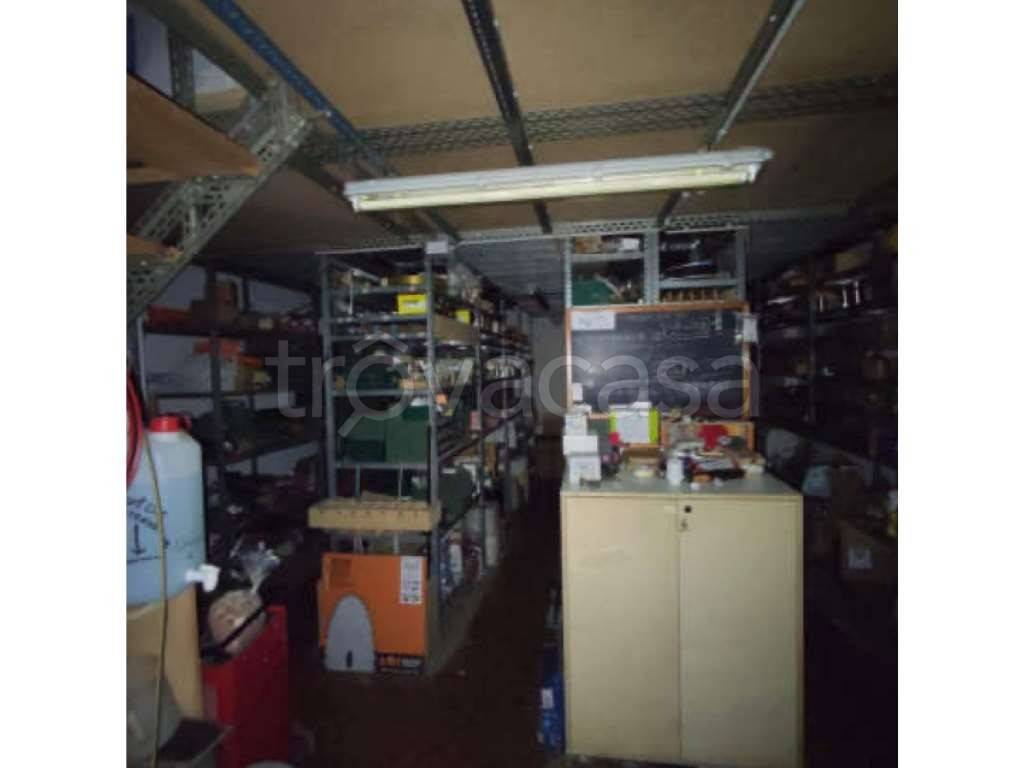 immagine annuncio 10 di 14