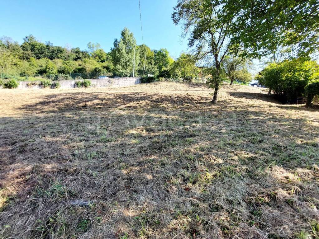 immagine annuncio 7 di 12