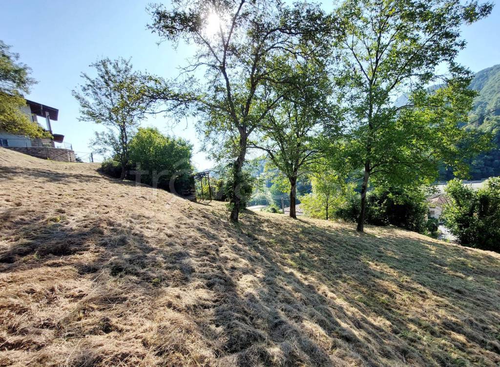 immagine annuncio 8 di 12