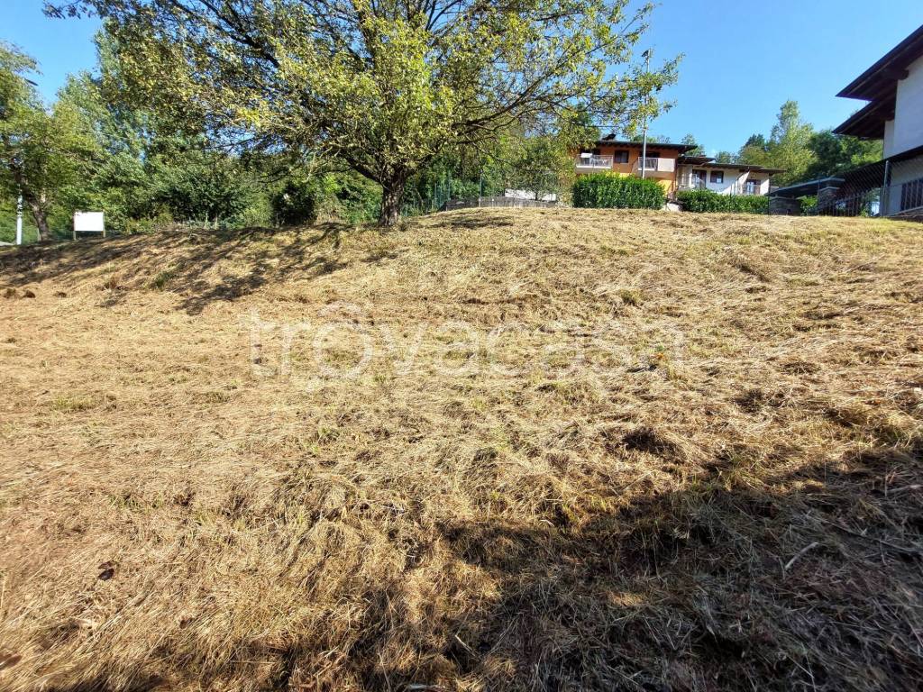 immagine annuncio 10 di 12